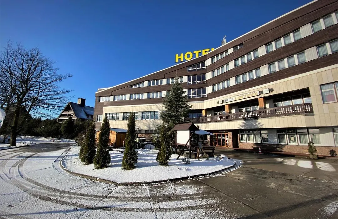 Hotel Lugsteinhof-1