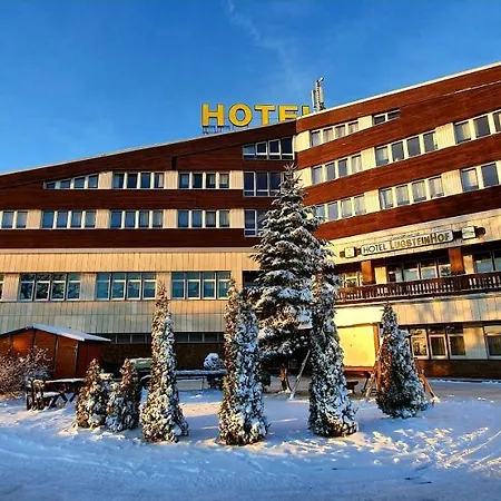 Hotel Lugsteinhof-3